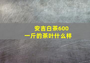 安吉白茶600一斤的茶叶什么样