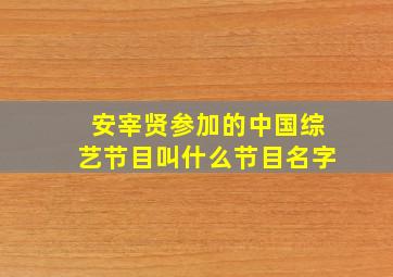 安宰贤参加的中国综艺节目叫什么节目名字