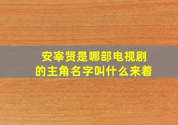 安宰贤是哪部电视剧的主角名字叫什么来着