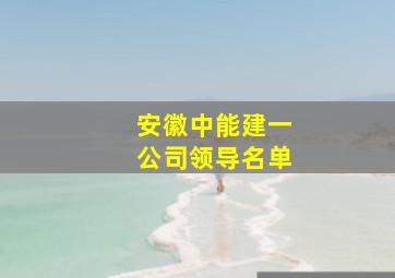 安徽中能建一公司领导名单