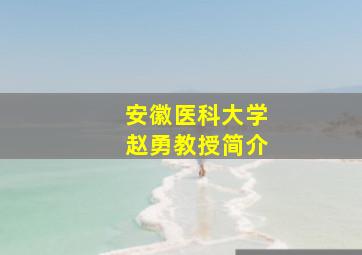 安徽医科大学赵勇教授简介