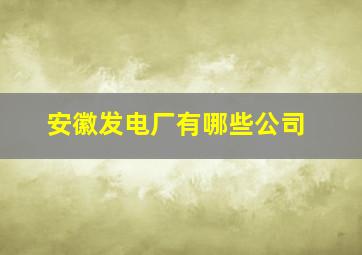 安徽发电厂有哪些公司