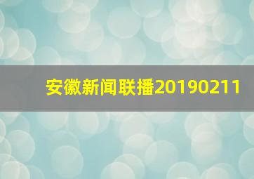 安徽新闻联播20190211