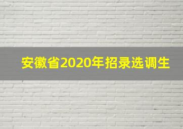 安徽省2020年招录选调生