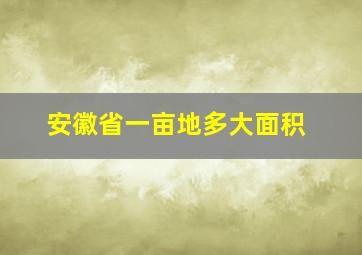 安徽省一亩地多大面积