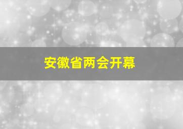 安徽省两会开幕