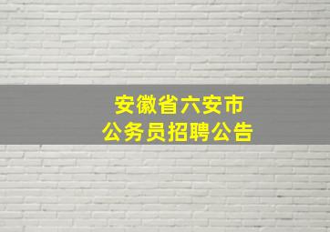 安徽省六安市公务员招聘公告