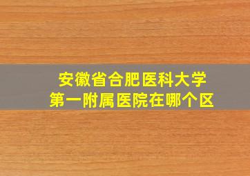 安徽省合肥医科大学第一附属医院在哪个区