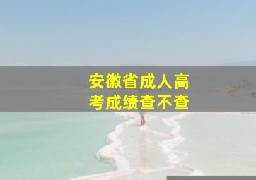 安徽省成人高考成绩查不查