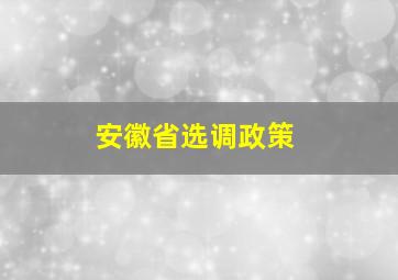 安徽省选调政策