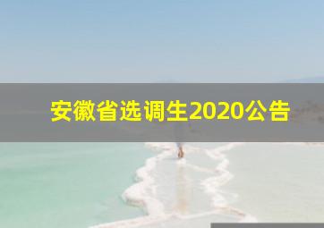 安徽省选调生2020公告