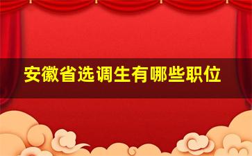 安徽省选调生有哪些职位