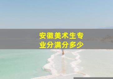 安徽美术生专业分满分多少