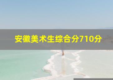 安徽美术生综合分710分