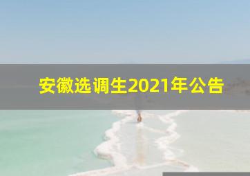 安徽选调生2021年公告