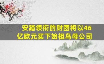 安踏领衔的财团将以46亿欧元买下始祖鸟母公司