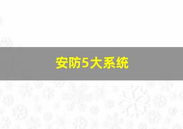 安防5大系统