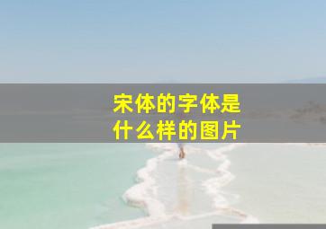 宋体的字体是什么样的图片