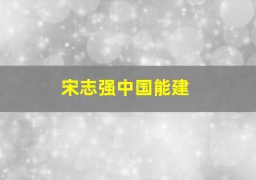 宋志强中国能建