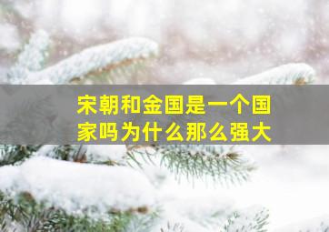 宋朝和金国是一个国家吗为什么那么强大