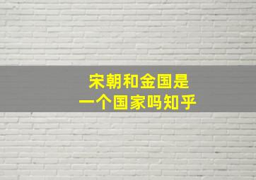 宋朝和金国是一个国家吗知乎