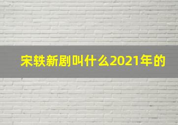 宋轶新剧叫什么2021年的