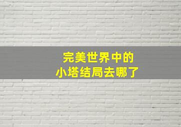 完美世界中的小塔结局去哪了