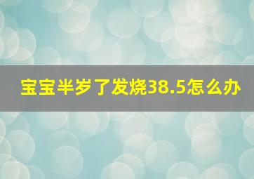 宝宝半岁了发烧38.5怎么办