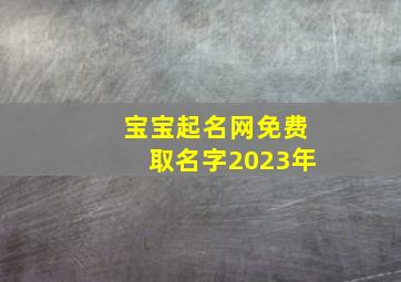 宝宝起名网免费取名字2023年