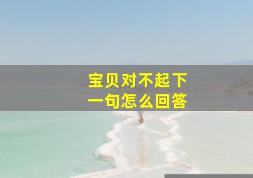 宝贝对不起下一句怎么回答