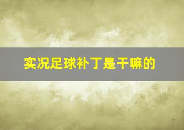 实况足球补丁是干嘛的