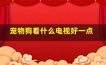 宠物狗看什么电视好一点