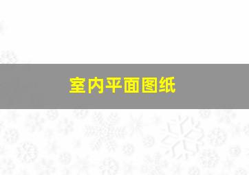 室内平面图纸