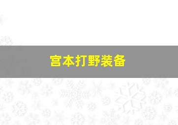 宫本打野装备