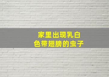 家里出现乳白色带翅膀的虫子