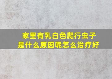 家里有乳白色爬行虫子是什么原因呢怎么治疗好