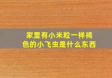 家里有小米粒一样褐色的小飞虫是什么东西