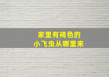 家里有褐色的小飞虫从哪里来