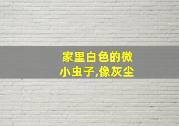 家里白色的微小虫子,像灰尘