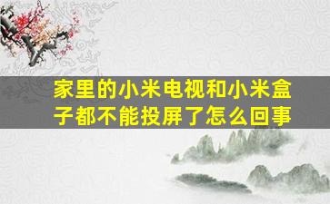 家里的小米电视和小米盒子都不能投屏了怎么回事