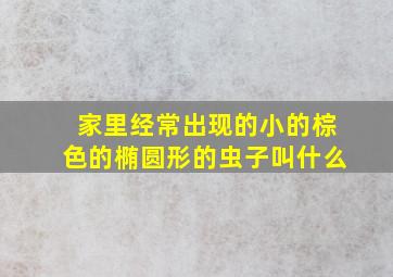 家里经常出现的小的棕色的椭圆形的虫子叫什么