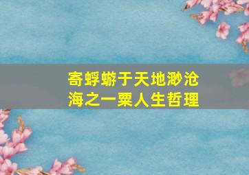 寄蜉蝣于天地渺沧海之一粟人生哲理