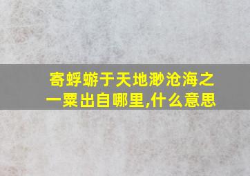 寄蜉蝣于天地渺沧海之一粟出自哪里,什么意思