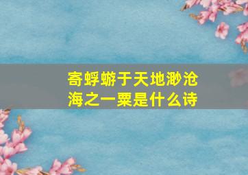 寄蜉蝣于天地渺沧海之一粟是什么诗