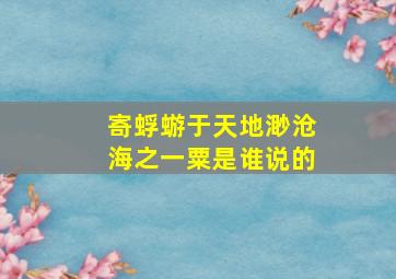 寄蜉蝣于天地渺沧海之一粟是谁说的