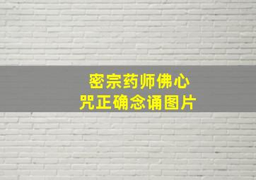 密宗药师佛心咒正确念诵图片