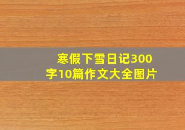 寒假下雪日记300字10篇作文大全图片