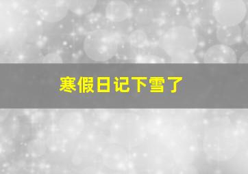 寒假日记下雪了