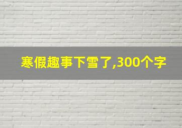 寒假趣事下雪了,300个字