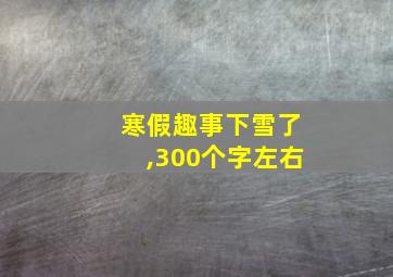 寒假趣事下雪了,300个字左右